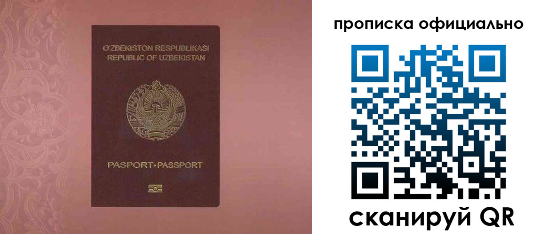 прописка для школы в Кувандыке